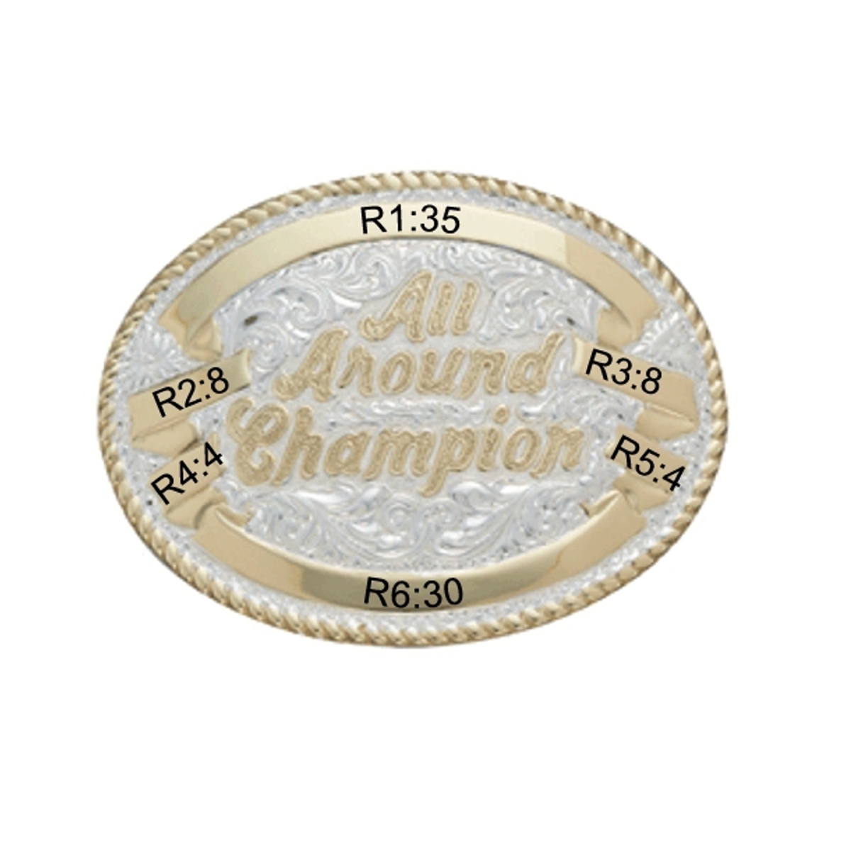 CR-02078 Trophy Buckle Oval 6 ribbons